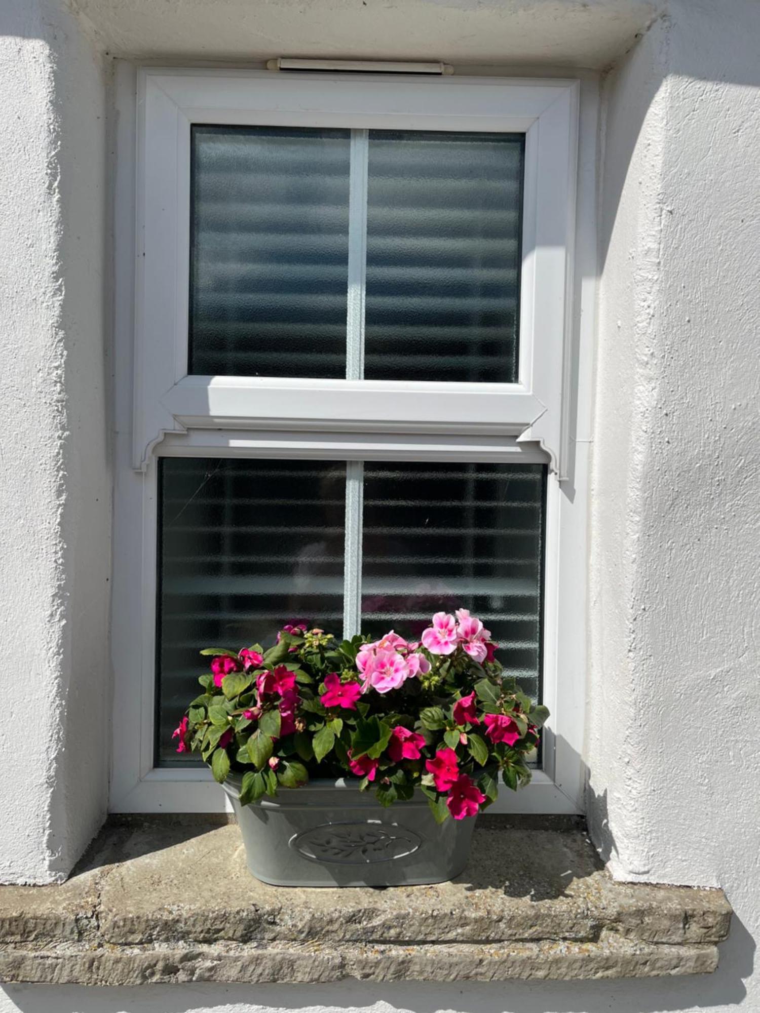 The At Ashbrook - Charming Country Near Hébergement de vacances Belfast